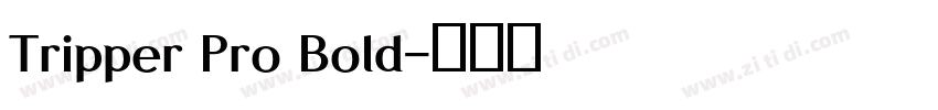 Tripper Pro Bold字体转换